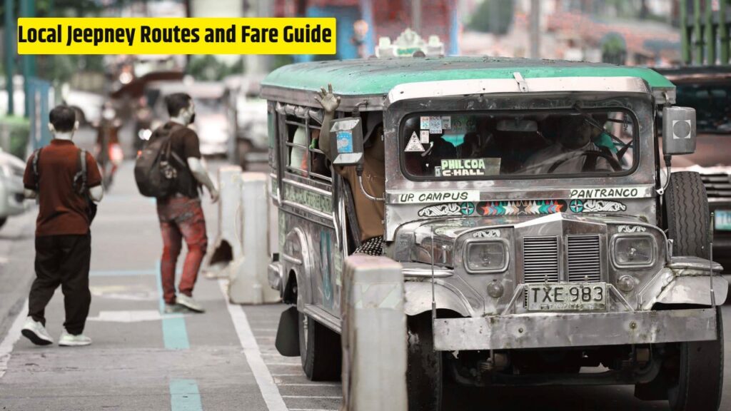Local Jeepney Routes and Fare Guide